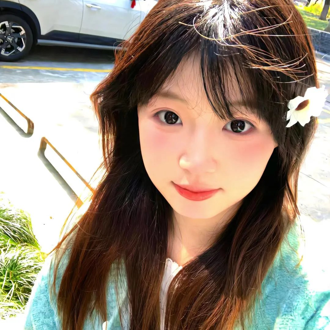 偷心俏佳人高清封面