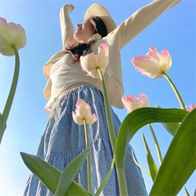 机关枪修女高清封面